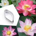 2 Pcs Lotus Petal Cutter Set for Fondant & Gumpaste Flower Making