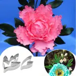 2 Pcs Peony Leaf Cutter Set for Fondant & Gumpaste Flowers