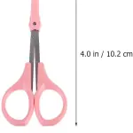 Premium Stainless Steel Baking & Decorative Scissors