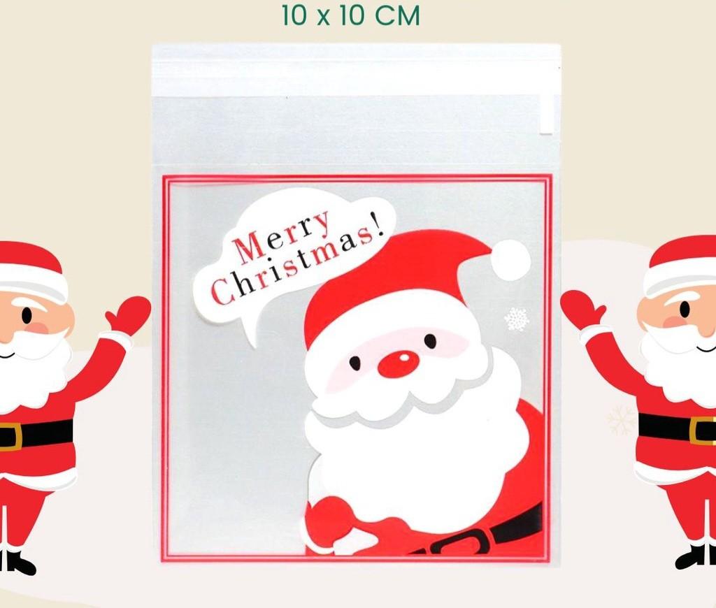 10cm_clear_santa_40pcs_cookie_1662354325_aebeae41_progressive.jpg