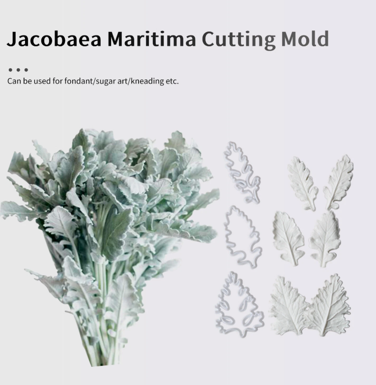 Screenshot 2025-06-19 153535